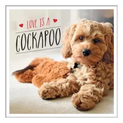 Coperta cărții Love Is a Cockapoo