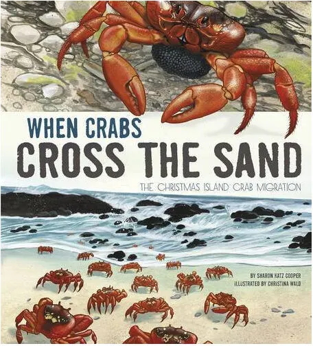 Coperta cărții When Crabs Cross the Sand