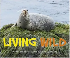 Coperta cărții Living Wild