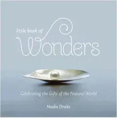 Coperta cărții Little Book of Wonders, Nadia Drake