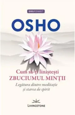 Coperta cărții Cum sa-ti linistesti zbuciumul mintii. Legatura dintre meditatie si starea de spirit