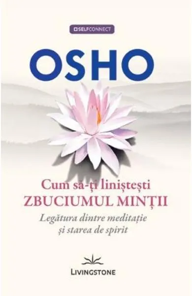 Coperta cărții Cum sa-ti linistesti zbuciumul mintii. Legatura dintre meditatie si starea de spirit