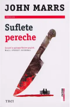 Coperta cărții Suflete pereche