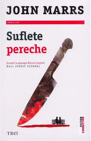 Coperta cărții Suflete pereche