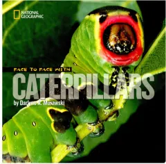 Coperta cărții Face to face with caterpillars