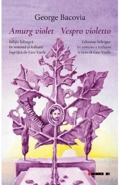 Coperta cărții Amurg violet