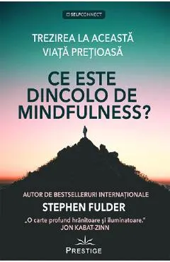 Coperta cărții Ce este dincolo de Mindfulness?