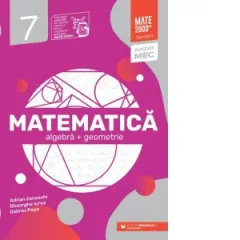 Coperta cărții Matematica. Algebra, geometrie. Clasa a VII-a. Mate 2000 - Standard