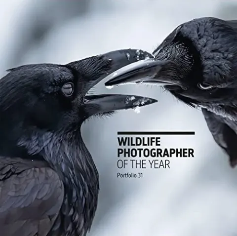 Coperta cărții Wildlife Photographer Of The Year: Portfolio 31