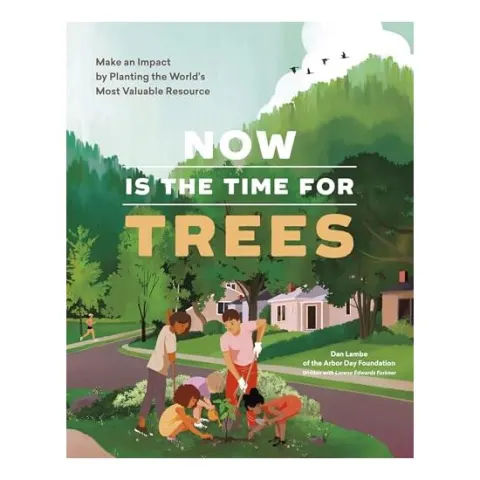 Coperta cărții Now Is the Time for Trees, Dan Lambe, Lorene Edwards Forkner