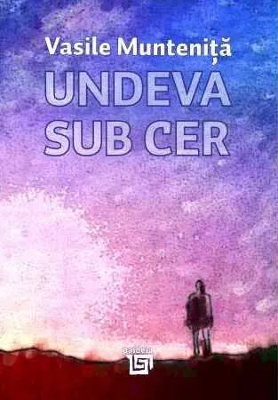 Coperta cărții Undeva sub cer