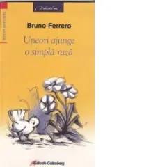 Coperta cărții Uneori ajunge o simpla raza