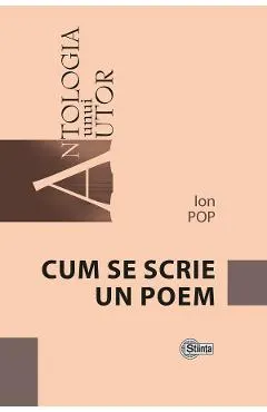 Coperta cărții Cum se scrie un poem