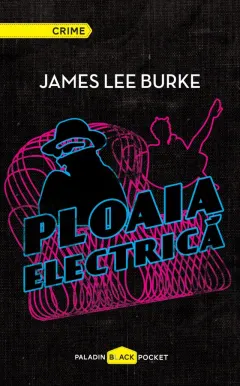 Coperta cărții Ploaia electrică