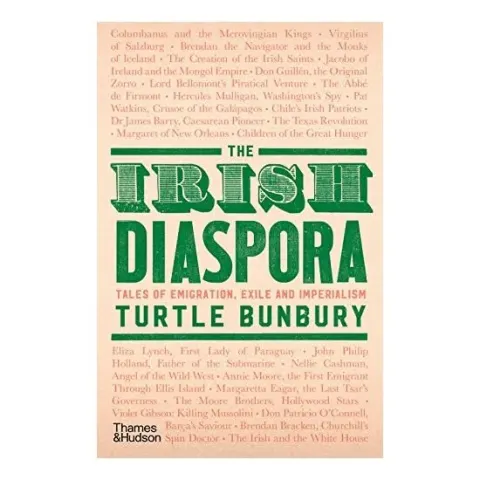 Coperta cărții Irish Diaspora