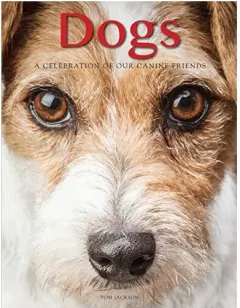 Coperta cărții Dogs