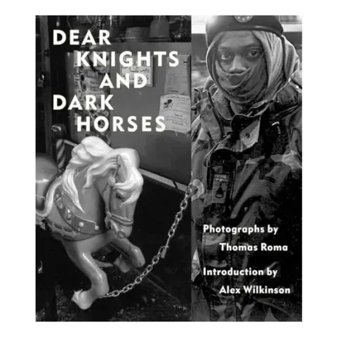 Coperta cărții Dear knights and dark horses