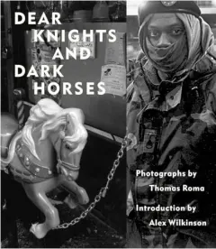 Coperta cărții Dear knights and dark horses