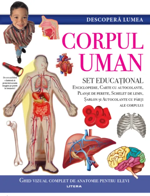 Coperta cărții Descoperă lumea. Corpul uman