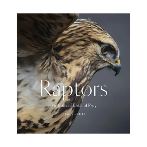 Coperta cărții Raptors: portraits of birds of prey