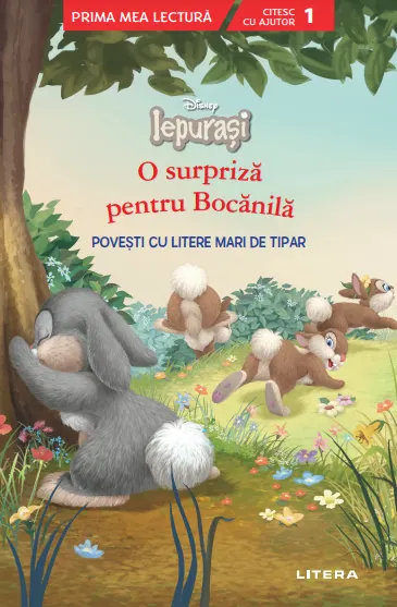 Coperta cărții Disney Iepurasi. O surpriza pentru Bocanila. Povesti cu litere mari de tipar (Nivelul 1)