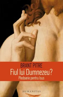 Coperta cărții Fiul lui Dumnezeu? Pledoarie pentru Isus