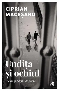 Coperta cărții Undita si ochiul