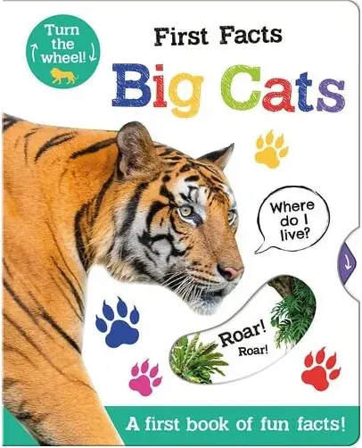 Coperta cărții First Facts Big Cats