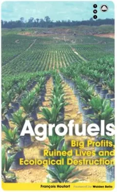 Coperta cărții Agrofuels Big Profits Ruined Lives And Ecological Destruction