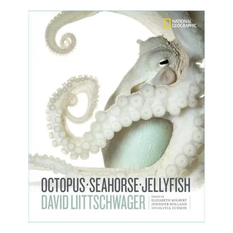 Coperta cărții Octopus, seahorse, jellyfish