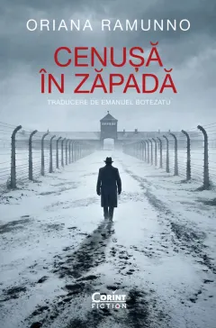Coperta cărții Cenușă în zăpadă