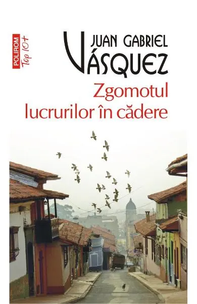Coperta cărții Zgomotul lucrurilor în cădere