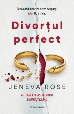 Coperta cărții Divorțul perfect