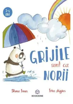 Coperta cărții Grijile sunt ca norii