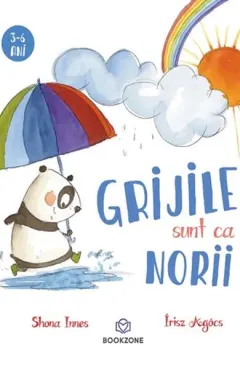 Coperta cărții Grijile sunt ca norii
