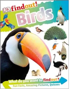 Coperta cărții Birds