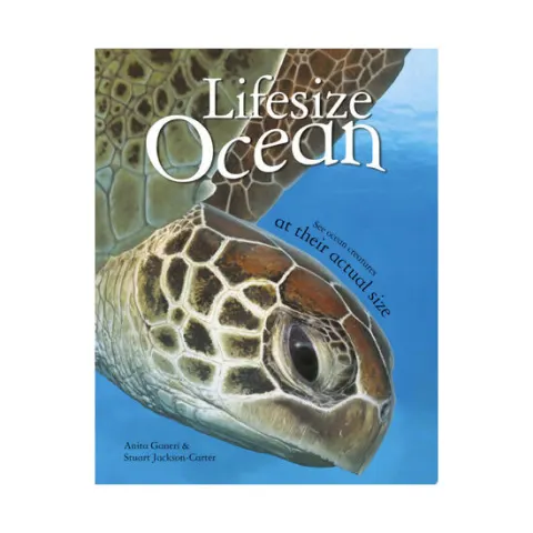 Coperta cărții Lifesize: Ocean