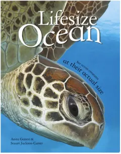 Coperta cărții Lifesize: Ocean