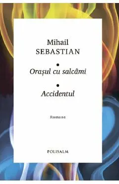 Coperta cărții Orasul cu salcami. Accidentul