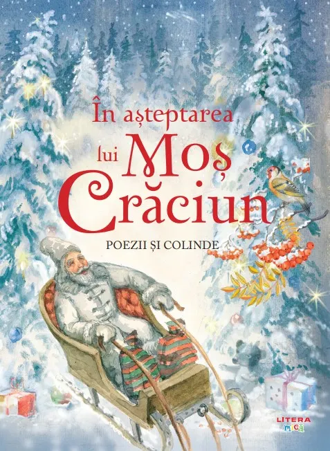 Coperta cărții În așteptarea lui Moș Crăciun