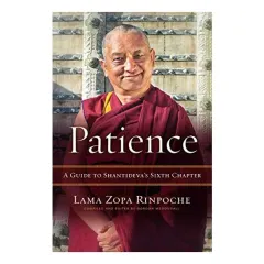Coperta cărții Patience