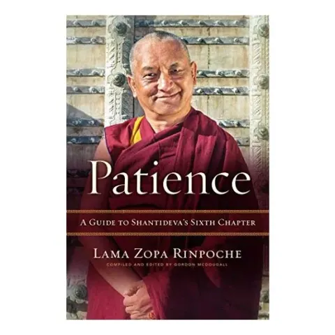 Coperta cărții Patience