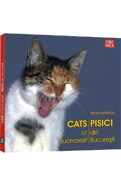 Coperta cărții Pisici din bucuresti