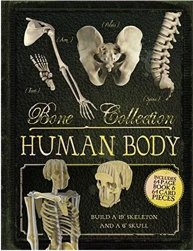 Coperta cărții Bone Collection: Human Body