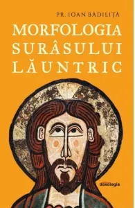 Coperta cărții Morfologia surasului launtric