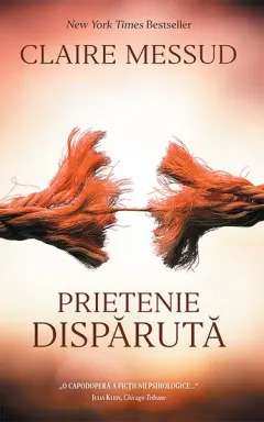 Coperta cărții Prietenie disparută