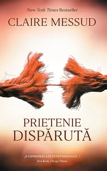 Coperta cărții Prietenie disparută