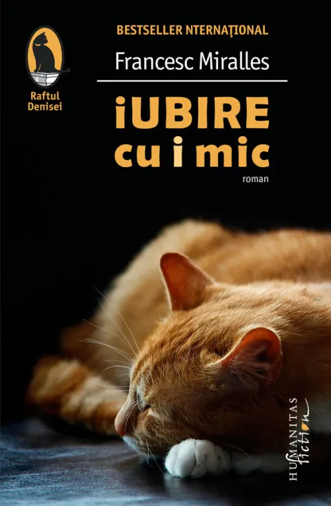 Coperta cărții Iubire cu i mic