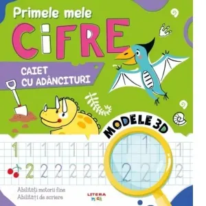 Coperta cărții Primele mele cifre. Caiet cu adancituri