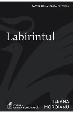 Coperta cărții Labirintul